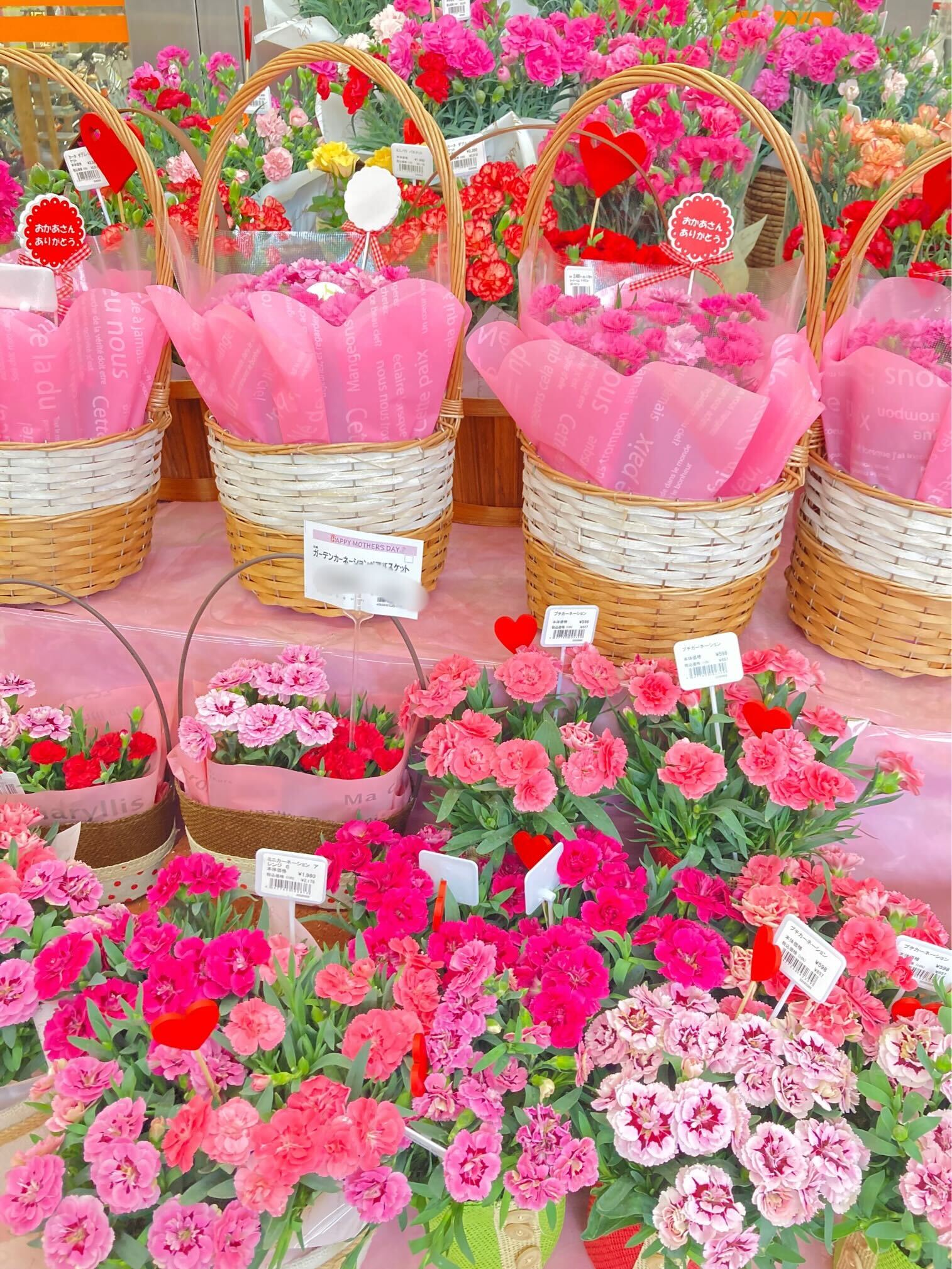 ❤母の日へのプレゼントはお決まりですか(・・?❤ | 【ダイユニ